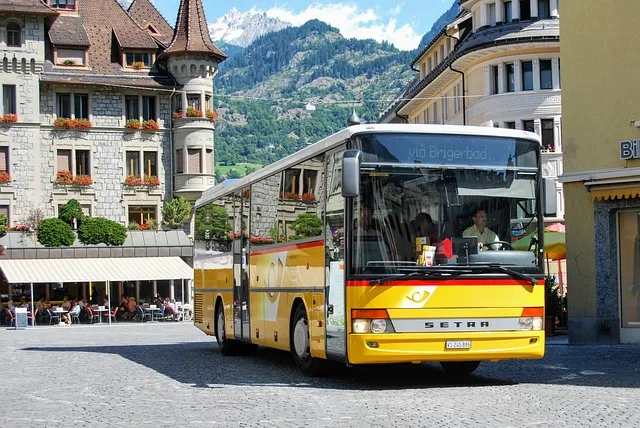 ¿Merece la Pena Sacarse el Carnet de Autobús? Pros y Contras ¿Merece la Pena Sacarse el Carnet de Autobús? Pros y Contras