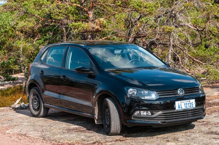 Grupo Volkswagen Volkswagen Polo V