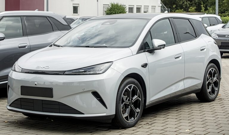 BYD Dolphin G